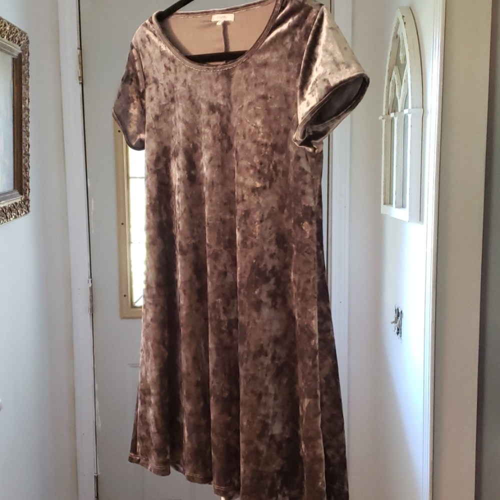 Velvet looking dress